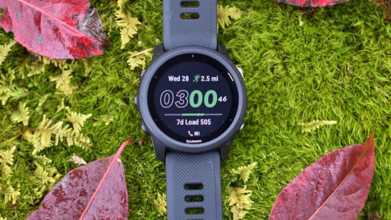 Garmin Forerunner 745