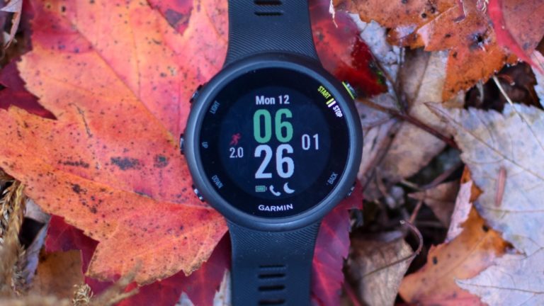 Garmin Forerunner 45 vs 245 - Canaan Valley Running Company