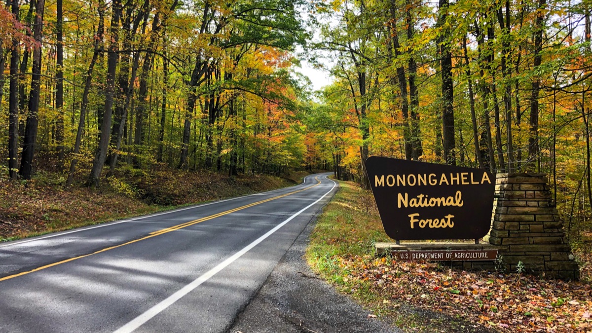 U.S. Forest Service - Monongahela National Forest