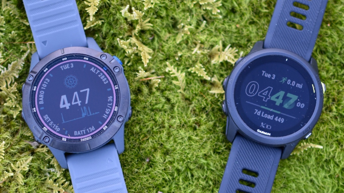 Etableret teori Følg os Patriotisk Garmin Forerunner 745 vs Fenix 6 - Canaan Valley Running Company