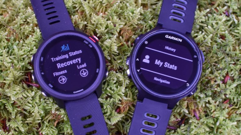 forerunner 45 vs 735
