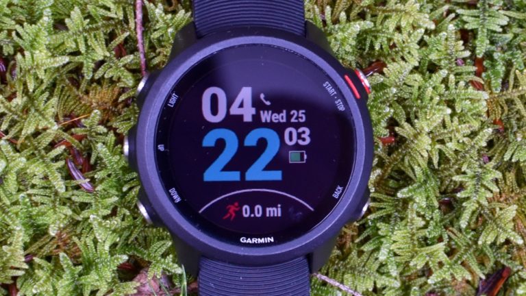 Garmin Forerunner 245