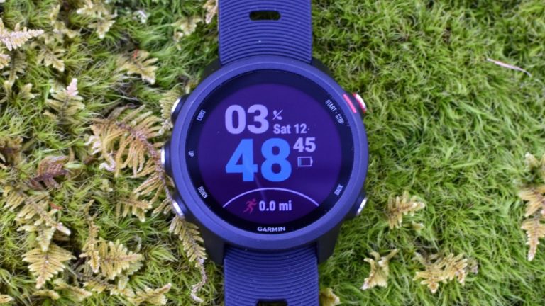 Garmin Forerunner 245 Best Value Running Watch