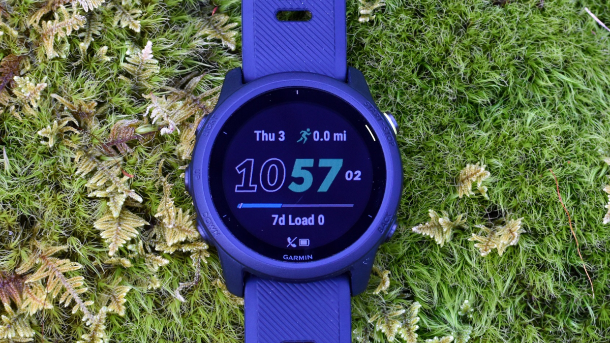 Best GPS Running Watches 2021 Canaan Valley Running Company