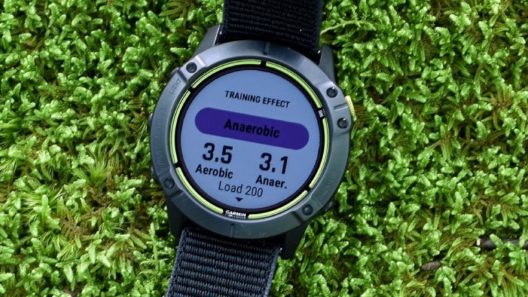 Training Effect on the Garmin Enduro