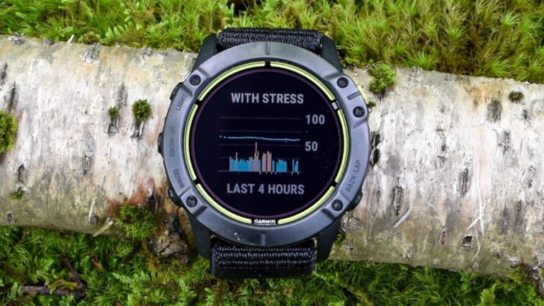 The Garmin Enduro Body Energy Monitoring Which Includes Stress Monitoring