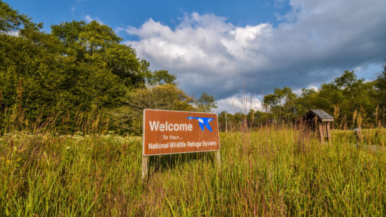 Welcome sign for the Canaan Valley Wildlife Refuge at a trailhead on Cortland Road